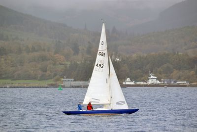 g13/43/278043/3/174969276.d1bf6ba6.JPEG