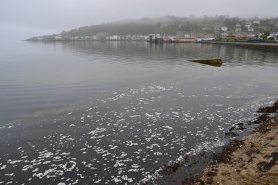 g13/43/278043/3/175002828.3f80b71f.JPEG