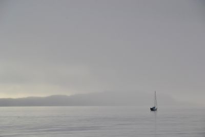 g13/43/278043/3/175011018.d13e733a.JPEG