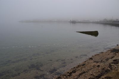 Fog