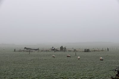 g13/43/278043/3/175102201.6bae3031.JPEG