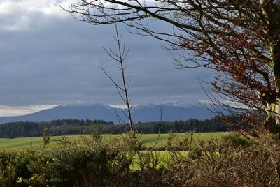 g13/43/278043/3/175239988.f2a5d677.JPEG