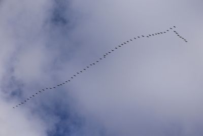 g13/43/278043/3/175305234.6e93792e.JPEG