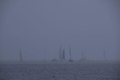 g13/43/278043/3/175398491.93a42cf6.JPEG
