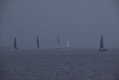 g13/43/278043/3/175398493.2d22e2af.JPEG