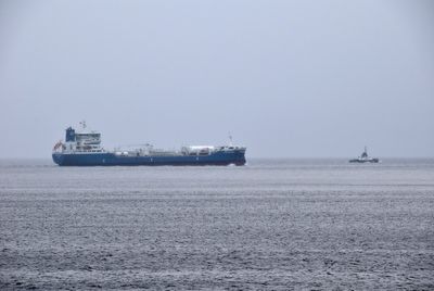 Cargo Ships