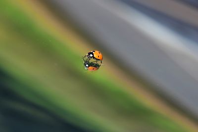 g13/43/278043/3/175536560.62345f5c.JPEG