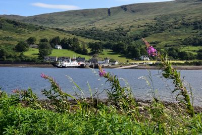 Calmac Ferries