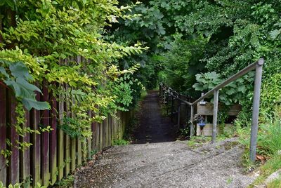 g13/43/278043/3/175626928.62f97b63.JPEG