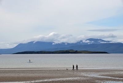 g13/43/278043/3/175629798.2f4d296f.JPEG