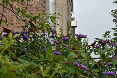 g13/43/278043/3/175643754.7a6335bd.JPEG