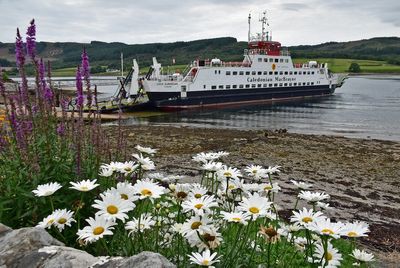 Calmac Ferries