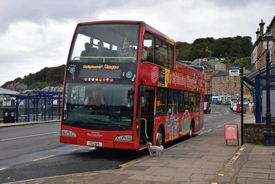 Misc Buses