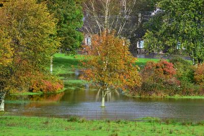 Autumn Colours