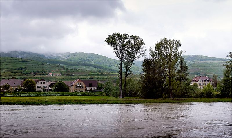 Austrias Vineyards