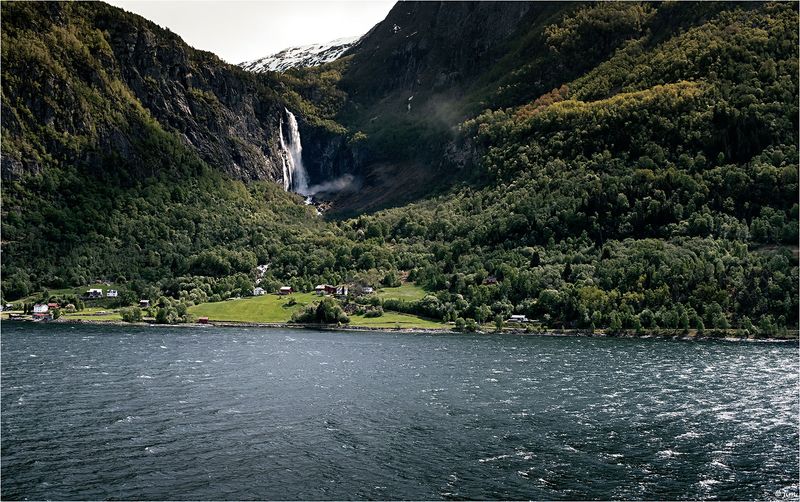 Living on the Fjord