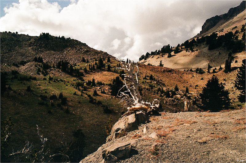 The High Country