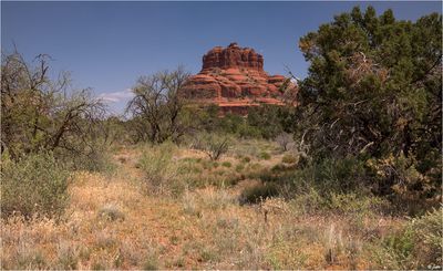 Arizona