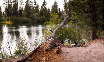 Manzanita Lake