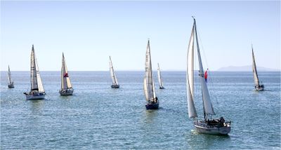 Sunny Sunday Sailing