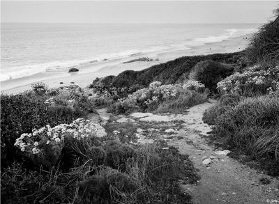 Film