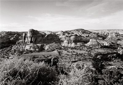 Film
