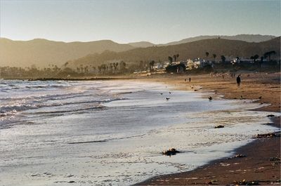 California Gold