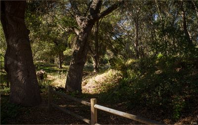 Things That Interest Me...