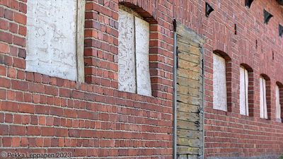 Plywood windows