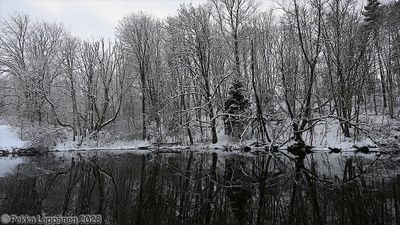 Northern river