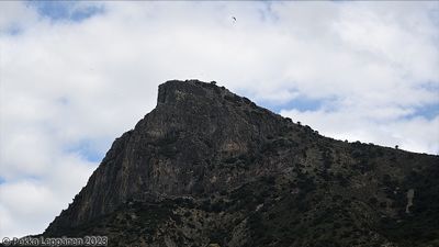g13/43/467943/3/174422852.c0f828b0.JPEG