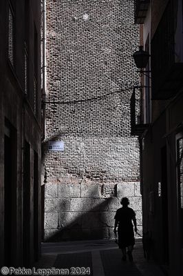 Walking to Calle Abogado Felipe Ortega