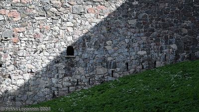 Wall and grass, light and shadow