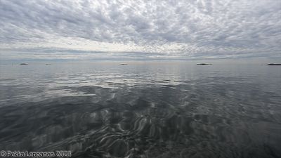 Reflection