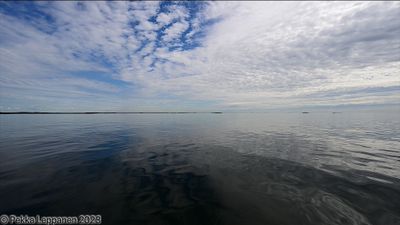 Reflections II