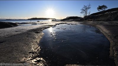 Frozen pond in winter sun