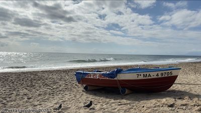 Simbad boat