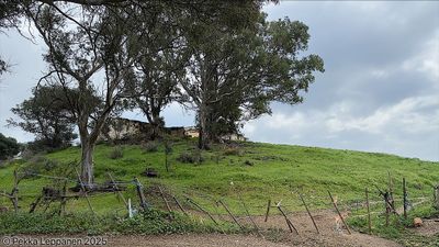 The gate to the House on the Hill
