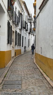 Alley / Calle Sanches de Feria