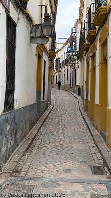 Alley / Calle Encarnacio