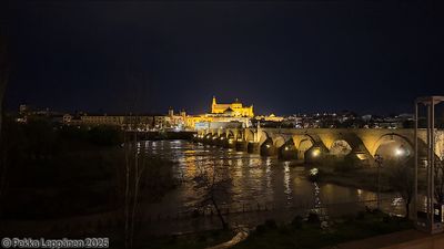 Cordoba skyline / night