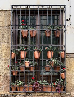 Flower window