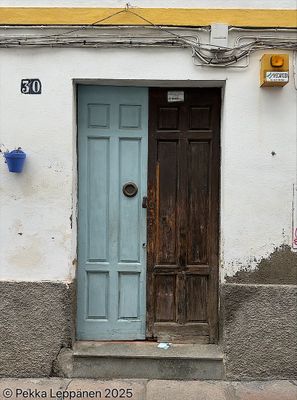 Janus door
