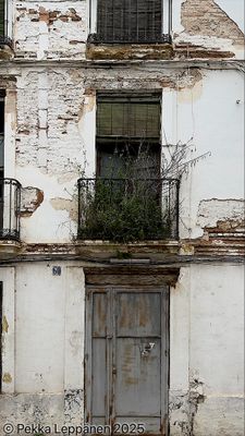 Plant Window