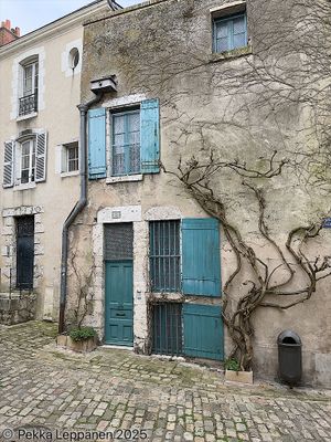 House behind the vines