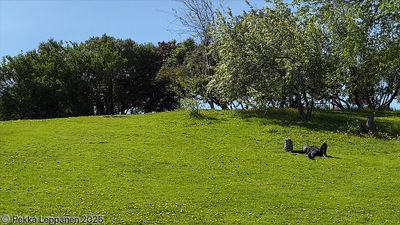 g13/43/467943/3/175504879.d1442552.JPEG