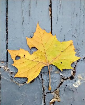  ANDROIDING (the world as I see it)