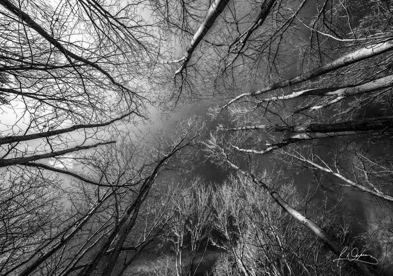 g13/43/534543/2/174876867.23f0b93f.JPEG