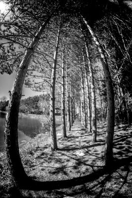g13/43/534543/3/174505104.e2a61b36.JPEG