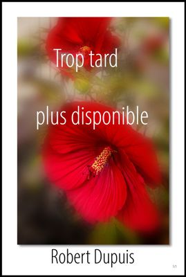 no 182_p_plus disponible